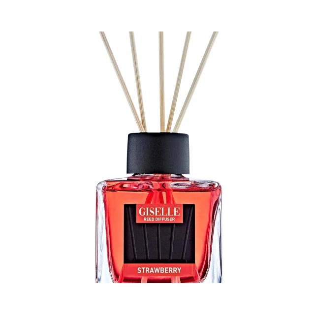 Giselle Reed diffusers