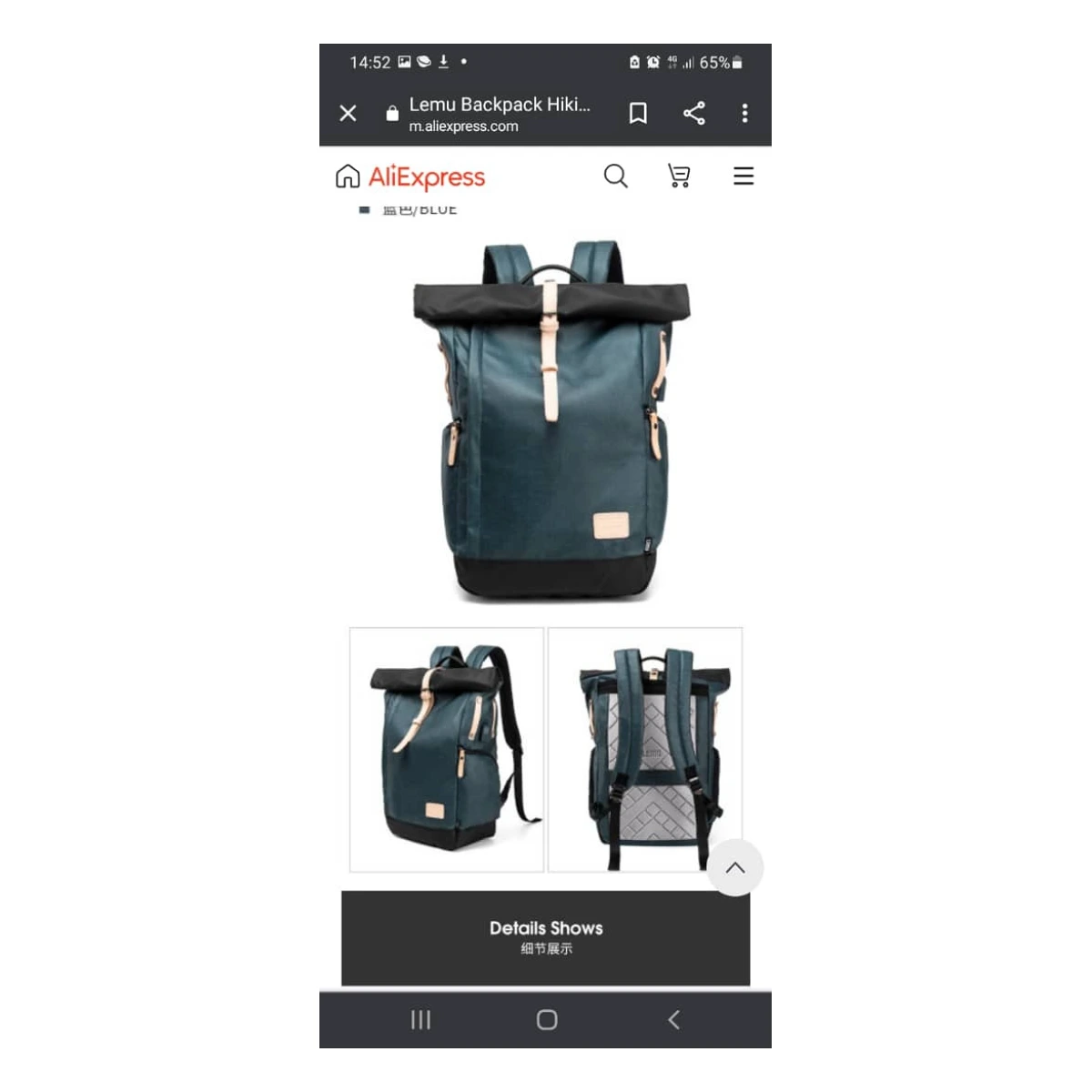 Travelling backpack